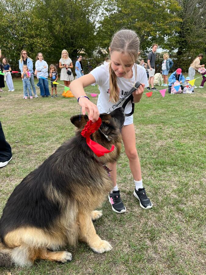 Dog Show